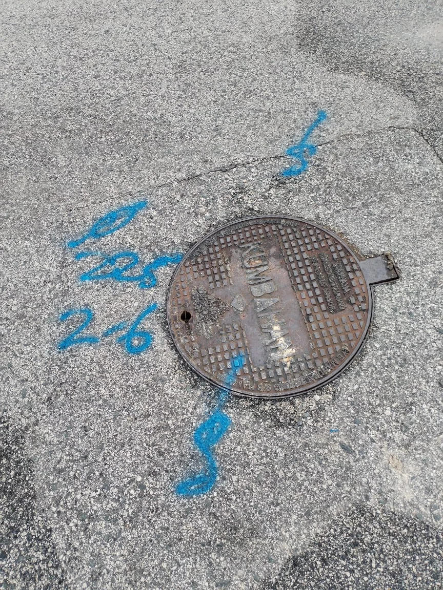 UMAP Activity - umap (43)